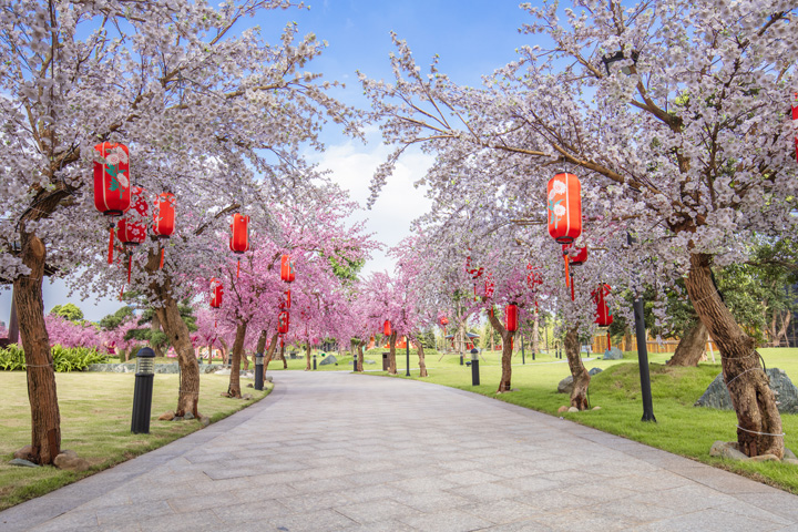Công viên Nhật Bản: Với hình ảnh công viên Nhật Bản xanh tươi và tĩnh lặng, bạn sẽ được trải nghiệm một không gian yên bình và đầy cảm hứng để thư giãn và tìm lại sự cân bằng trong cuộc sống.